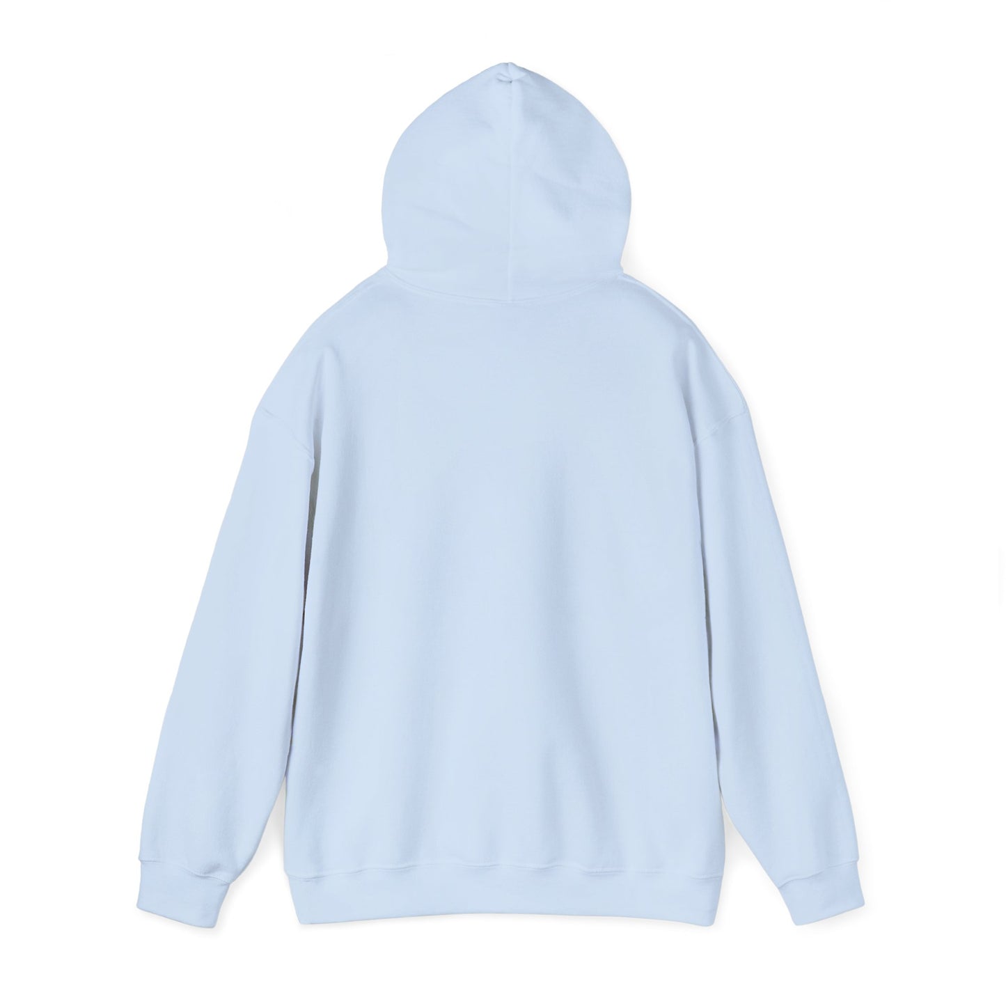 Dissent Democracy Hoodie, Unisex Heavy Blend Sweatshirt, Cozy Protest Wear, Casual Activist Apparel, Comfortable Gift for Change-Makers